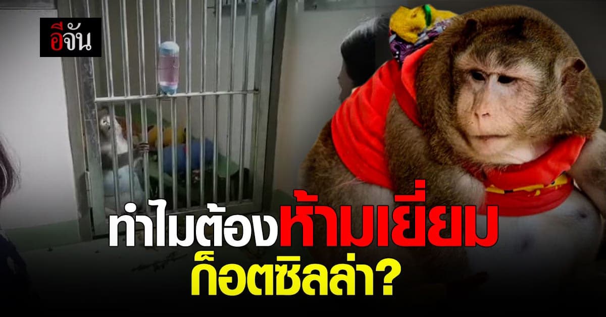 องค์กรสวัสดิภาพสัตว์ ขอเหตุผล ทำไมถึงไม่ให้ญาติเข้าเยี่ยม ก็อตซิลล่า ?