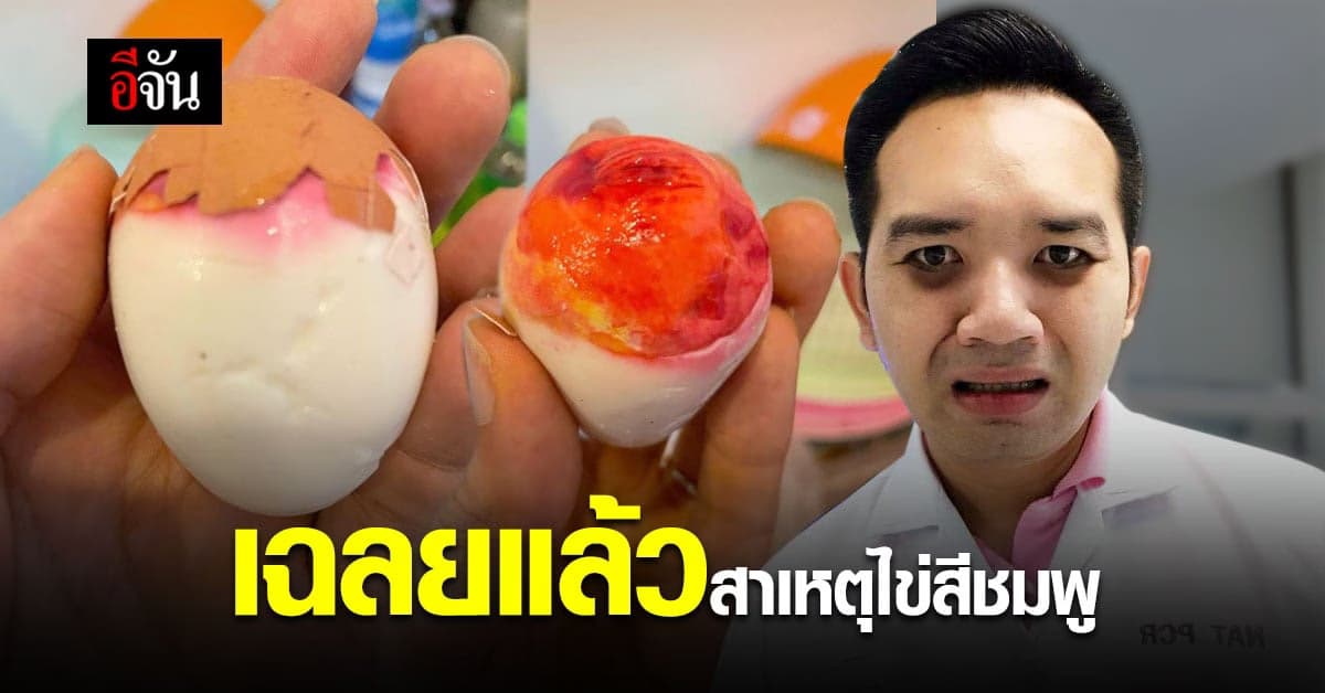 หมอแล็บแพนด้า เฉลย ไข่ต้ม สีชมพู เกิดจากจุดเลือด