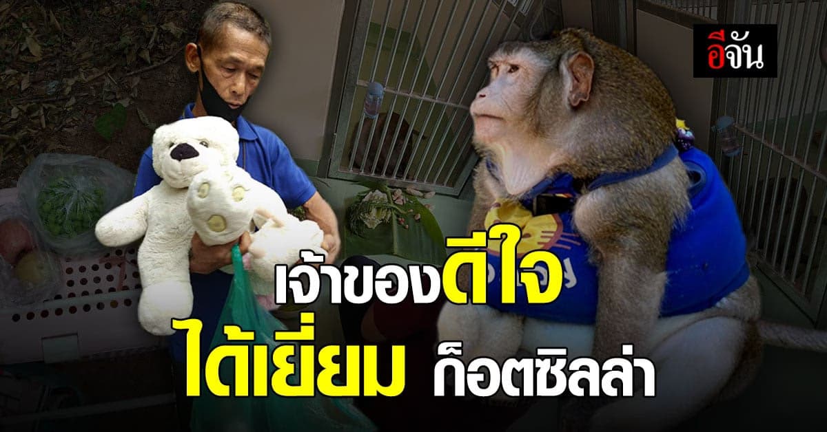 เจ้าของดีใจ สุดท้ายได้เยี่ยม ก็อตซิลล่า หัวหน้าศูนย์ฯ แจ้ง เร็ววันนี้ น่าจะมีข่าวดี !