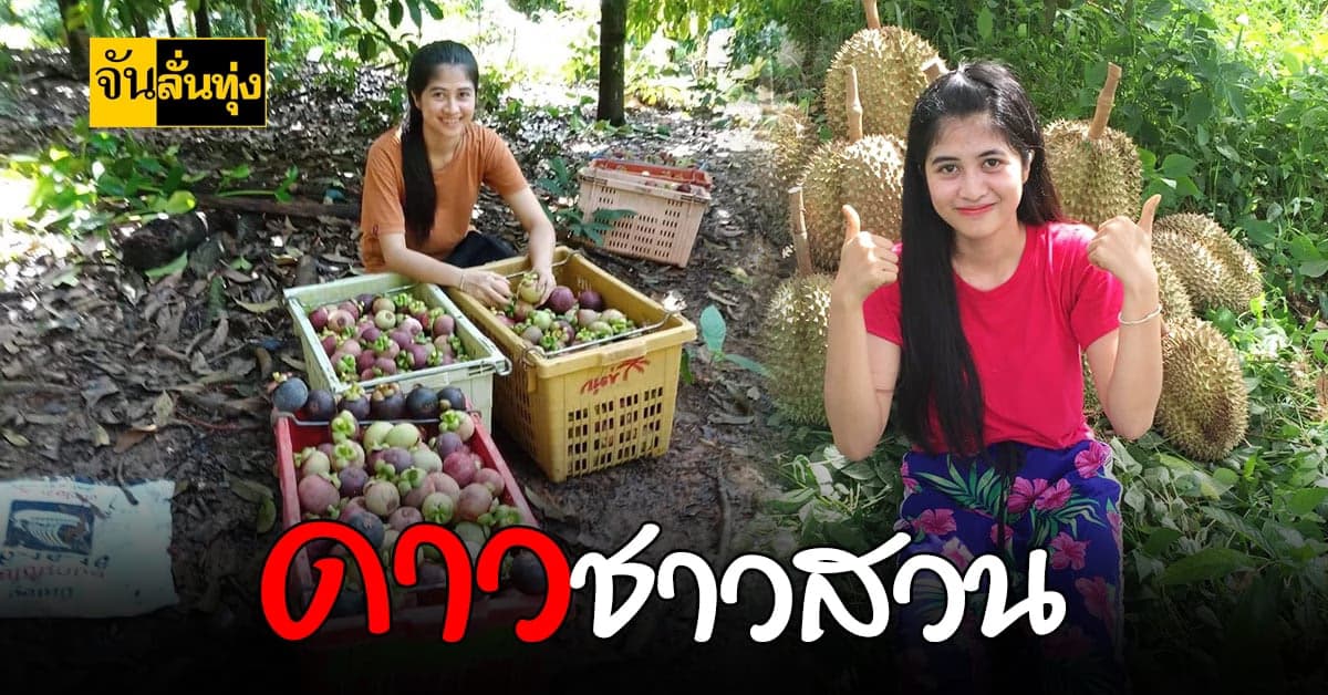 สาวสวยชุมพร ไม่ลืมบ้านเกิด ทำสวน สร้างรายได้