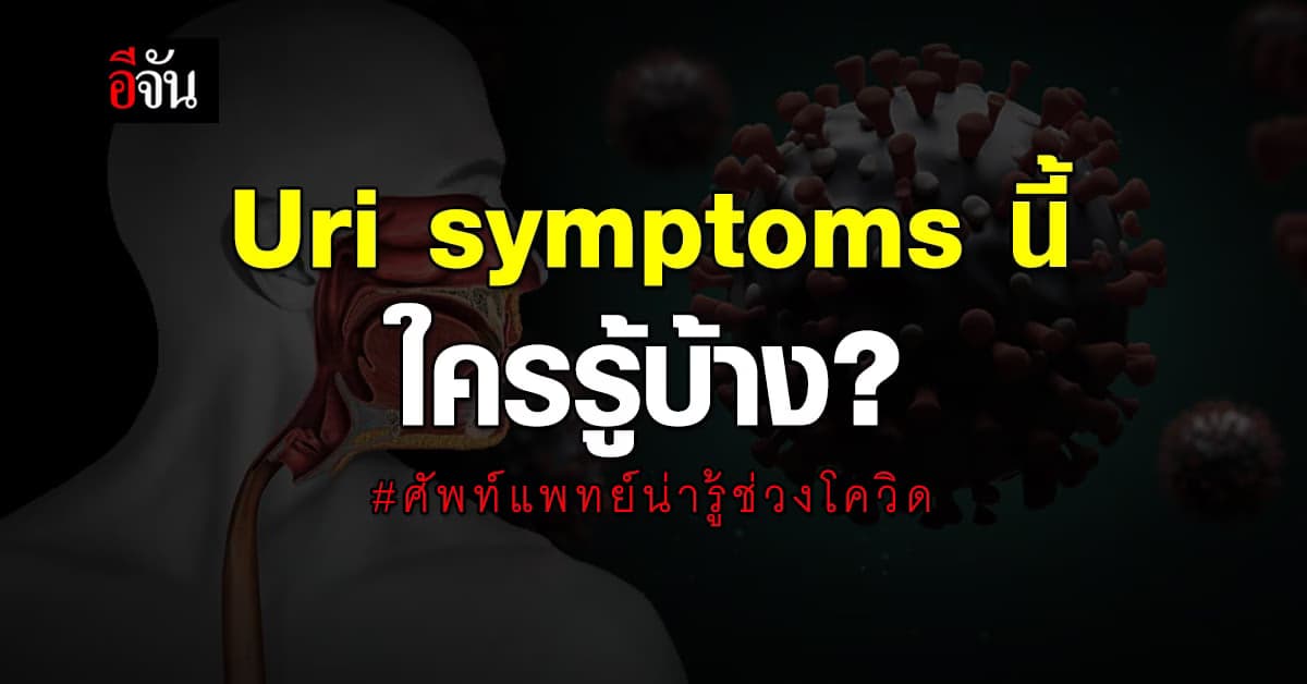 โควิด19 ก็ระบาด อ่านข้อมมูลทางการแพทย์ ก็ไม่เข้าใจ จันจัดให้