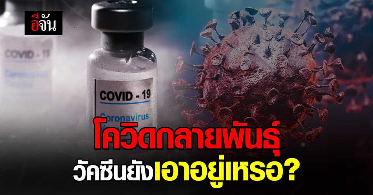 หมอยง ไขข้อสงสัย โควิดกลายพันธุ์ วัคซีน ยังเอาอยู่เหรอ?