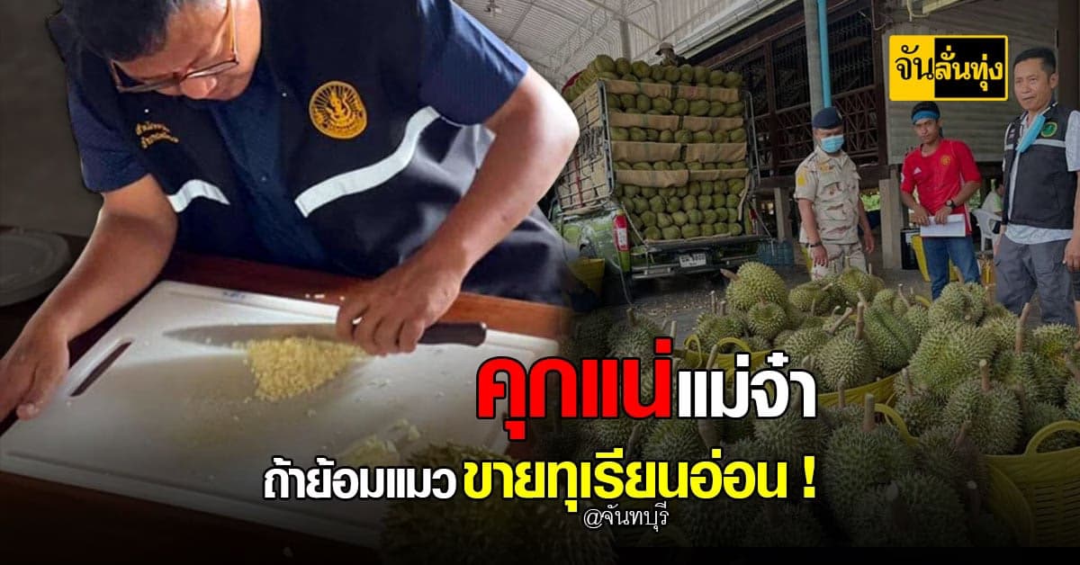 เกษตรฯ เอาจริง ลงพื้นที่ ภาคตะวันออก ตรวจเข้มใครขาย ทุเรียนอ่อน คุกแน่ !