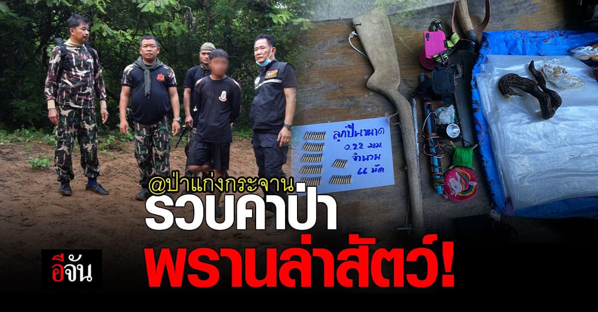 ชุดลาดตระเวน SMART Patrol รวบทันควัน พรานล่าสัตว์ ป่าแก่งกระจาน