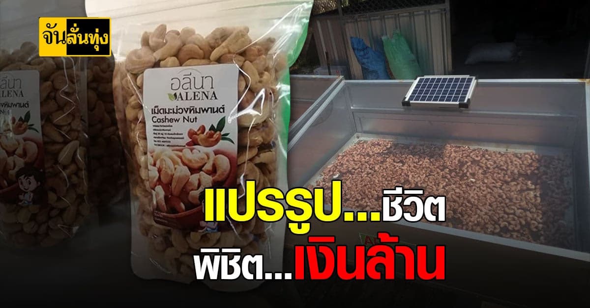 อดีตหนุ่มโรงงาน เลิกขายแรง ปลดแอกชีวิตใช้ เม็ดมะม่วงหิมพานต์ ปูทางสร้างรายได้ที่ยั่งยืน