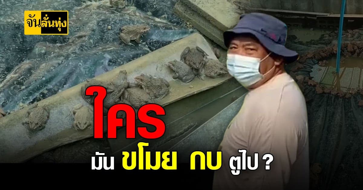 กบ ตูอยู่ไหน ? ลุงเพชรบูรณ์ช้ำ เลี้ยงกบไว้ขายนับร้อยโล โดนขโมยหายเกลี้ยงเหลือไม่กี่ตัว