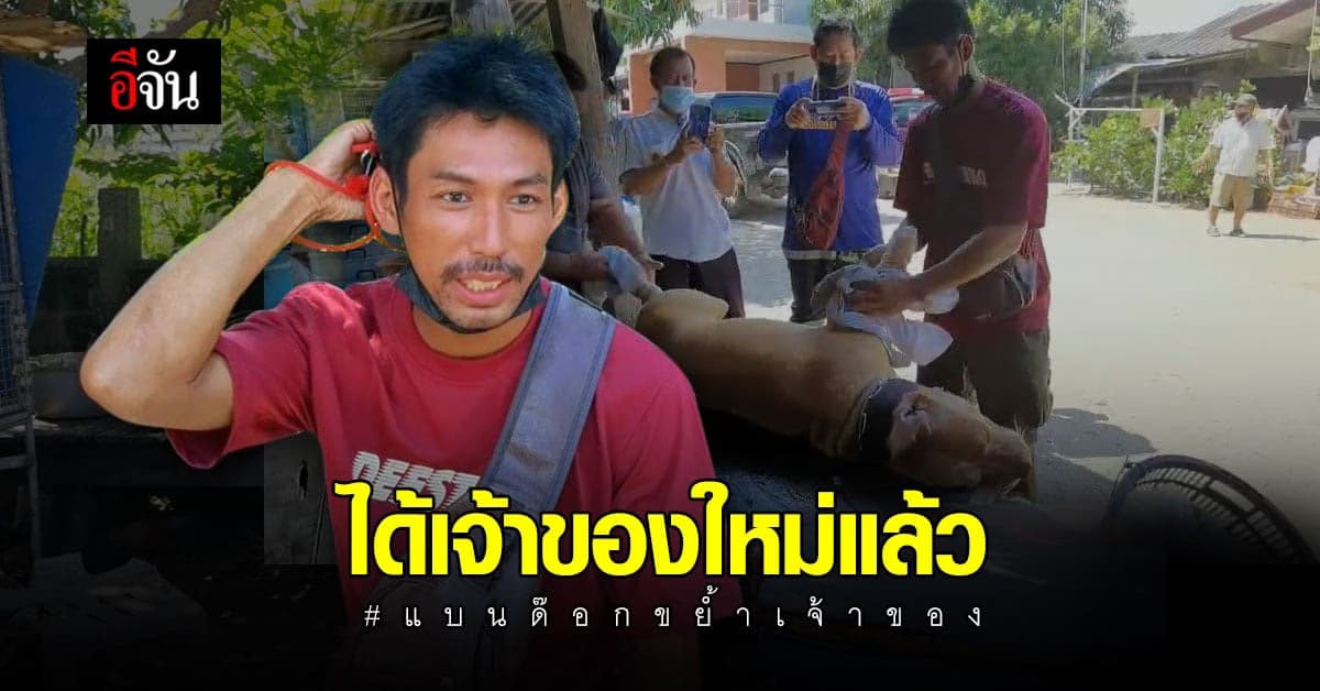 ไจแอนท์ หมาแบนด๊อก ขย้ำเจ้าของดับ ล่าสุด ได้เจ้าของใหม่แล้ว