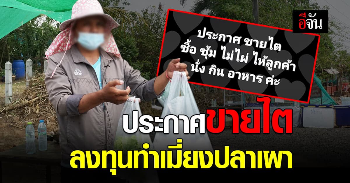 หนุ่มบุรีรัมย์ ประกาศขายไต ลงทุนทำเมี่ยงปลาเผา เซ่นพิษโควิด