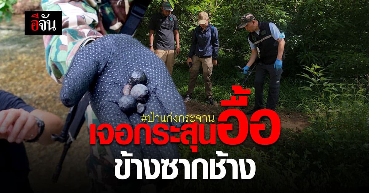 พญาเสือ ตรวจพื้นที่ที่พบ ซากช้าง ตายคาป่าแก่งกระจาน พบกระสุนอื้อ!