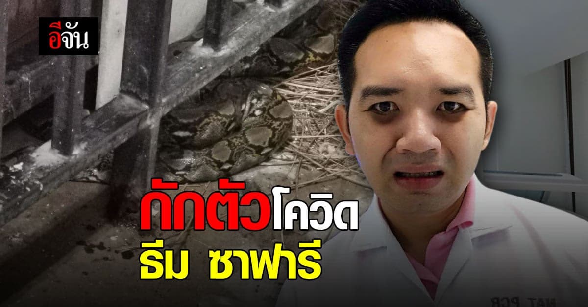 หมอแล็บแพนด้า โพสต์ กักตัวรูปแบบใหม่ ธีมซาฟารี