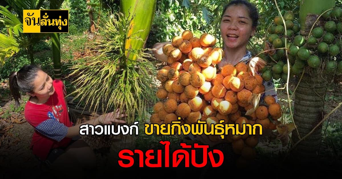 สาวแบงก์จบป.โท ขายกิ่งพันธุ์หมาก คู่งานประจำ