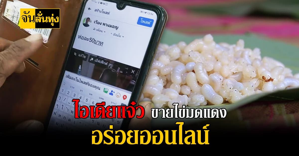 ชาวบ้านอุดรธานี โพสต์ ขายไข่มดแดงออนไลน์  สร้างรายได้ ช่วงโควิด