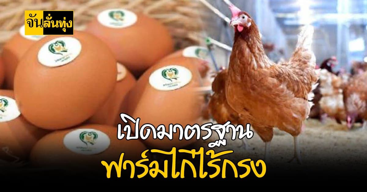 กรมปศุสัตว์ รับรองฟาร์มไก่ไข่แบบไม่ใช้กรง ให้ประชาชนมั่นใจก่อนบริโภค