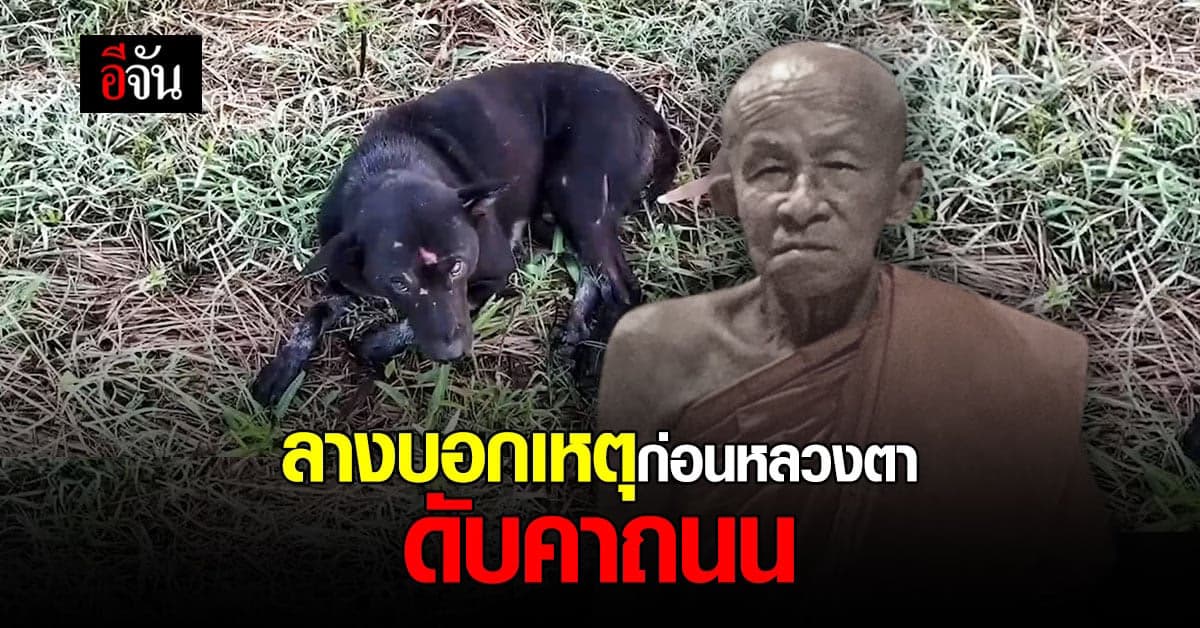 ลางบอกเหตุ ก่อนหลวงตา ถูกรถชนพร้อม หมาแสนรัก