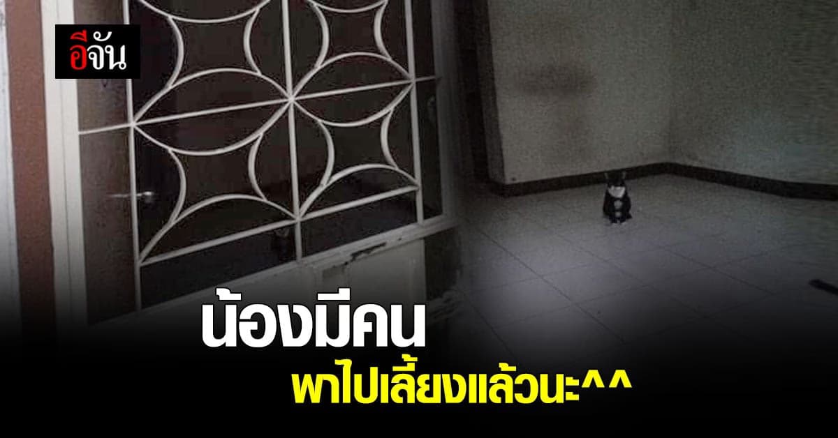 มีคนใจดี ติดต่อเลี้ยงน้องแมว ถูกทิ้งในบ้านเอื้อฯ แล้ว