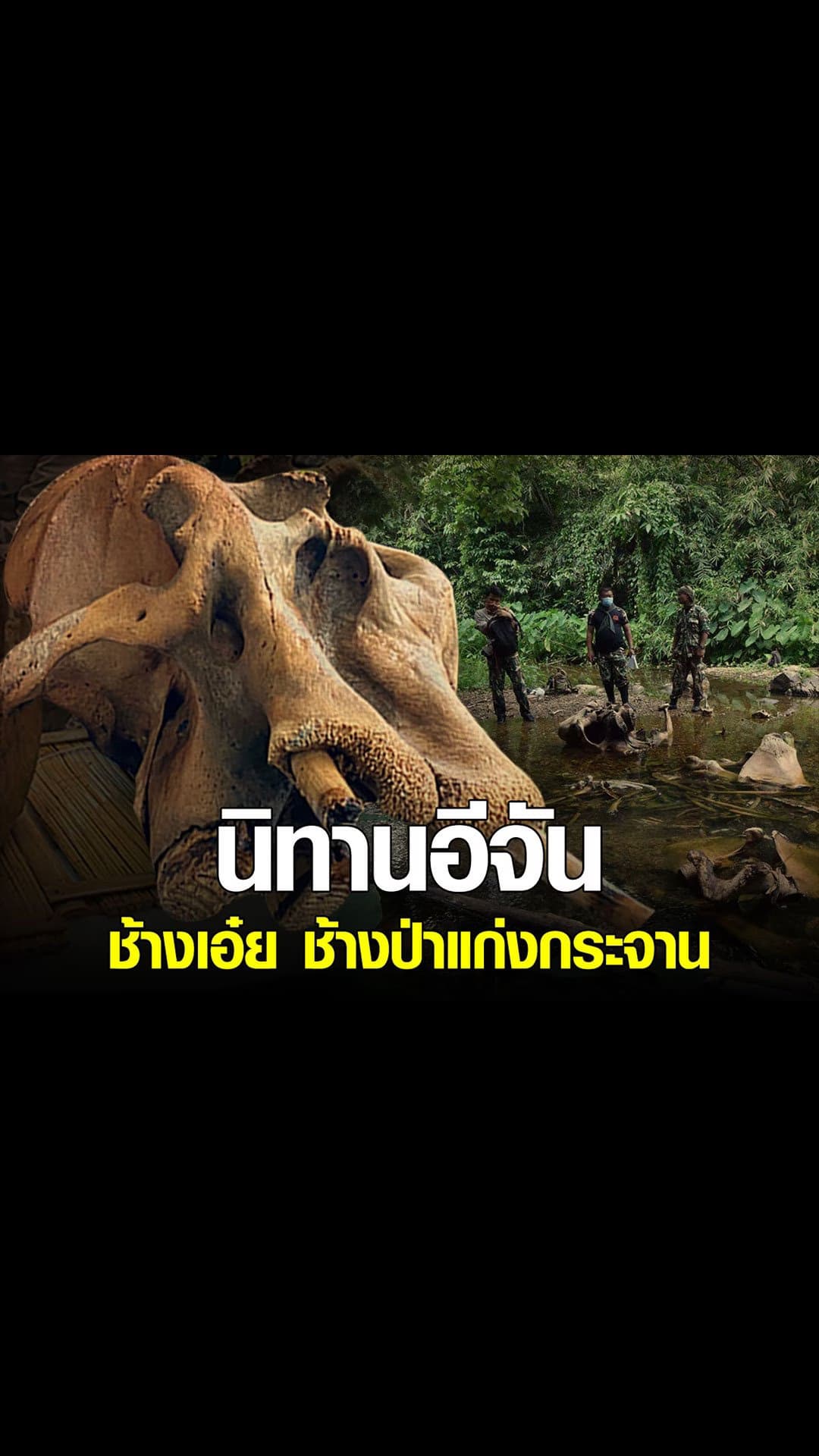 อีจัน – สตอรี่ นิทานอีจัน เรื่อง ช้างเอ๋ย ช้างป่าแก่งกระจาน