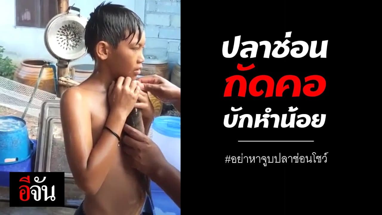 (Video) ใครจะจูบปลาช่อนโชว์ดูคลิปนี้ก่อน
