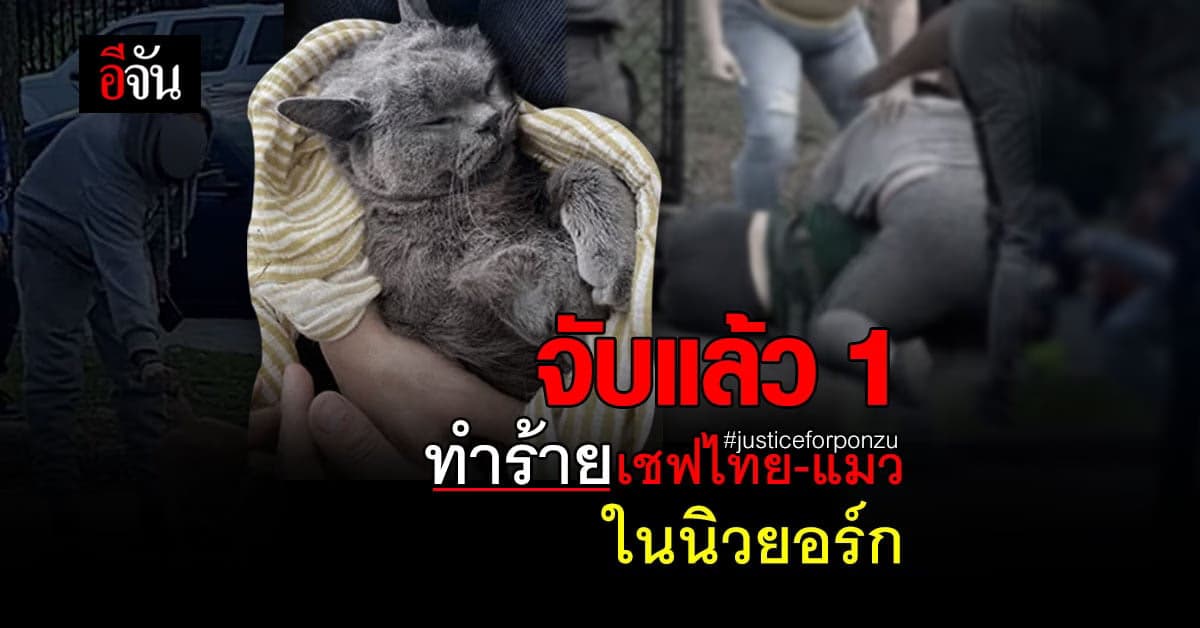 จับแล้ว 1 คนรุมตื้บ เชฟรุ้ง – ทำร้ายแมวตาย ในนิวยอร์ก #justiceforponzu