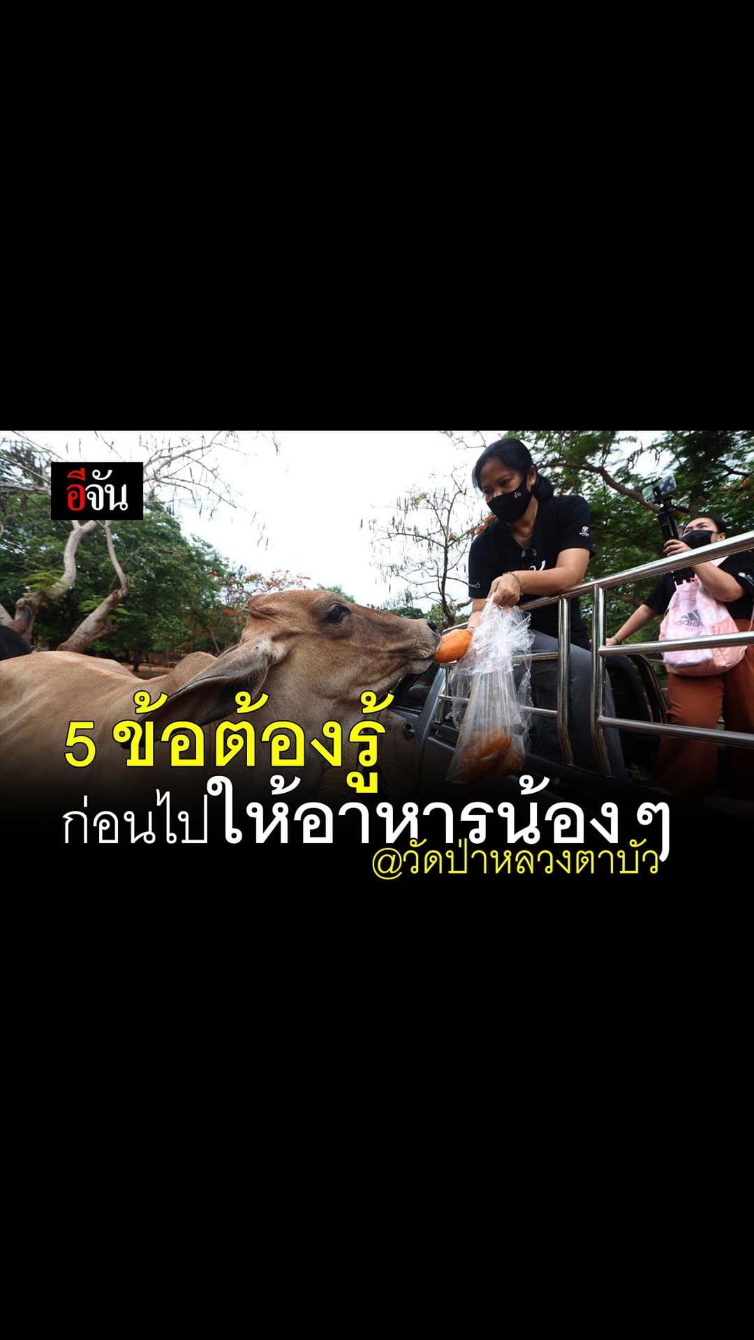 อีจัน – สตอรี่ 5 เรื่องที่ควรรู้ ก่อนไป…ให้อาหารสัตว์ วัดป่าหลวงตาบัว