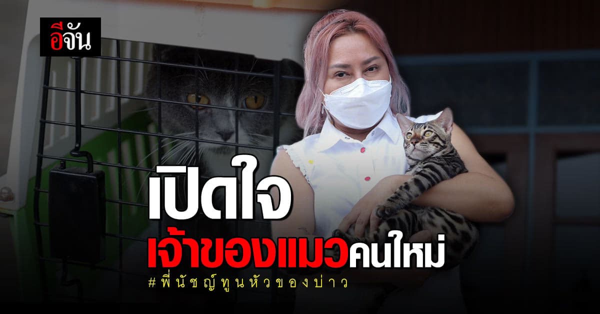 เปิดใจ พี่นัชญ์ ทูนหัวของบ่าว หลังชนะประมูลแมว กุ๊ก ระยอง