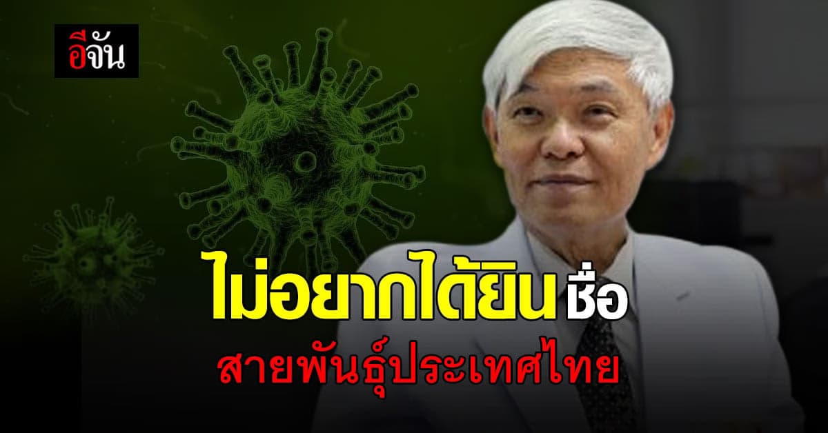 หมอยง แนะ เร่งตรวจเชิงรุก แยกผู้ป่วยโควิด ออกจากประชากรให้ได้มากที่สุด