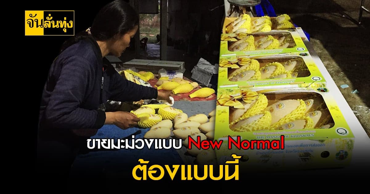 วิสาหกิจชุมชนบ้านแฮด ขายมะม่วงออนไลน์  สร้างรายได้