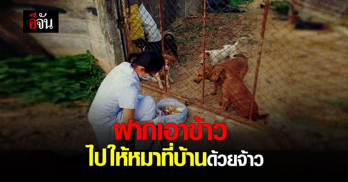 เจ้าของบ้านป่วยโควิด ห่วงน้องหมาในบ้าน ก่อนไปรักษา ฝาก จนท. ให้ข้าวหมาทุกวัน