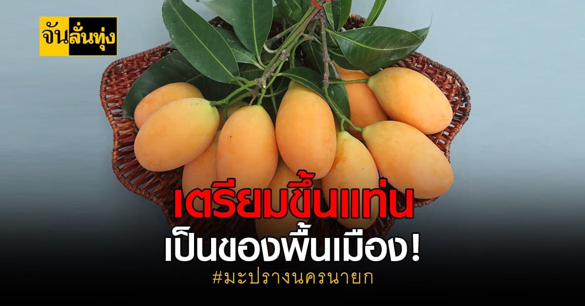 นครนายกเตรียมขึ้น มะปรางหวานทองประมูลพรหมณี เป็นพันธุ์พืชพื้นเมืองเฉพาะถิ่น