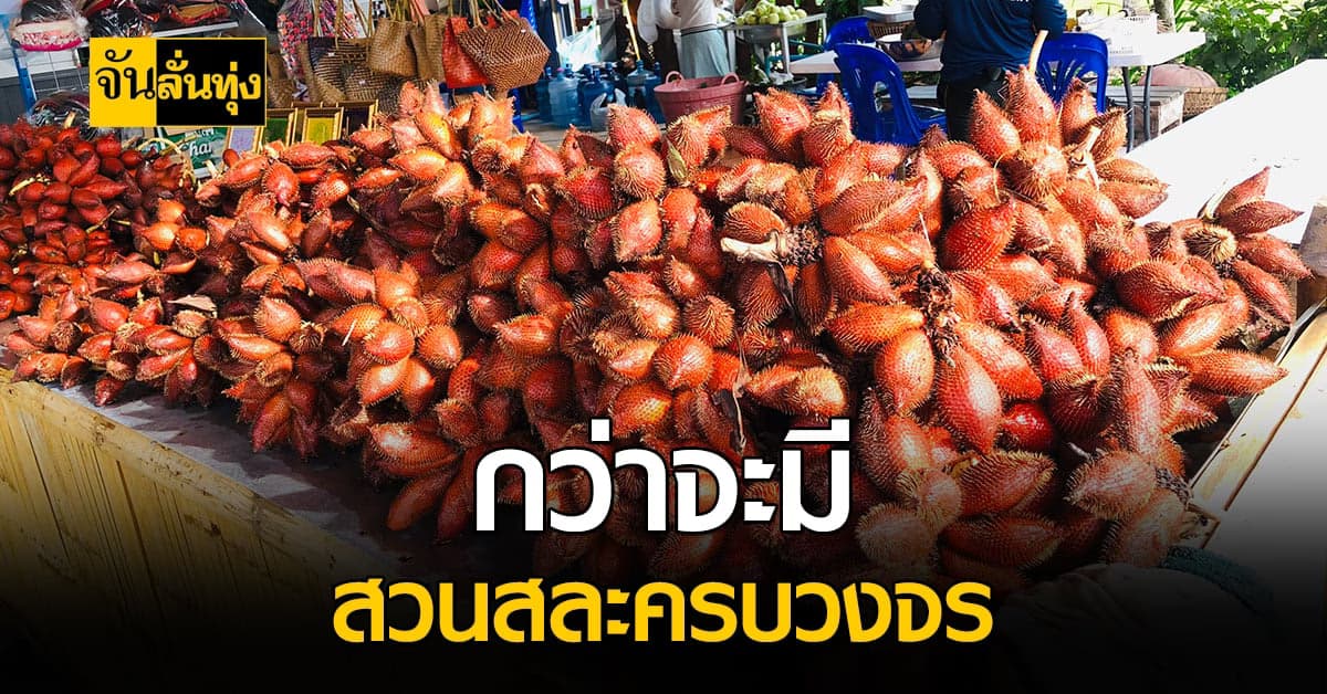 เปิดใจเจ้าของ สวนสละธานินทร์ สร้างรายได้หลักล้านต่อปี