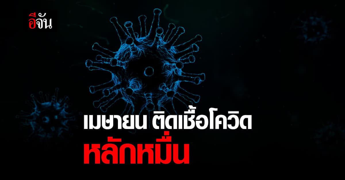 สถิติสุดเศร้า ผู้ติดเชื้อโควิด เมษายน 2564