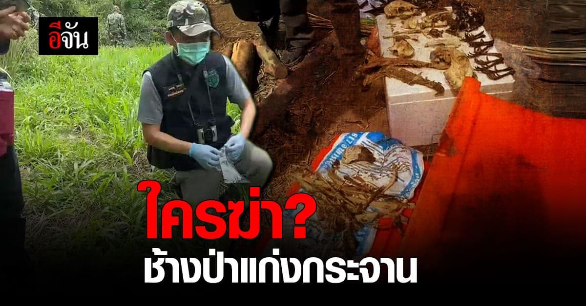 เจออีก 2 ซาก ช้างป่าแก่งกระจาน ฝีมือใครฆ่า?