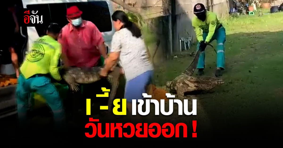 เซอไพรส์รับวันหวยออก ตัวเงินตัวทอง ไซส์พี่เบิ้มเข้าบ้าน หรือน้องจะมาให้โชคกันนะ ?