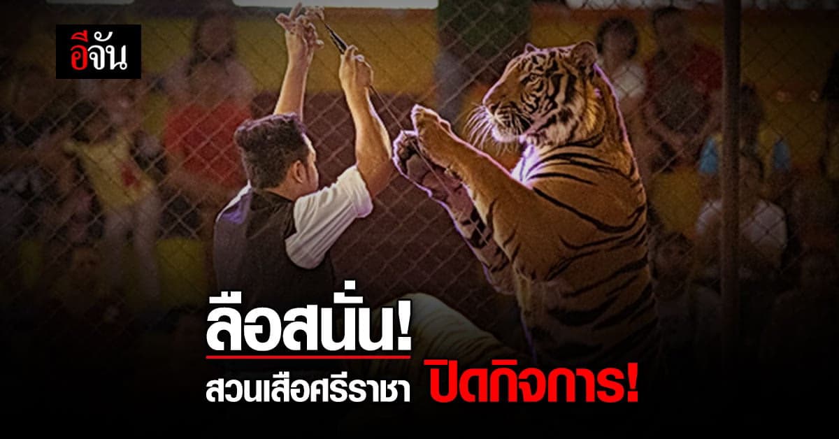 ข่าวลือ ปิดตำนาน 20 ปี สวนเสือศรีราชา เซ่น พิษโควิด ระลอกใหม่