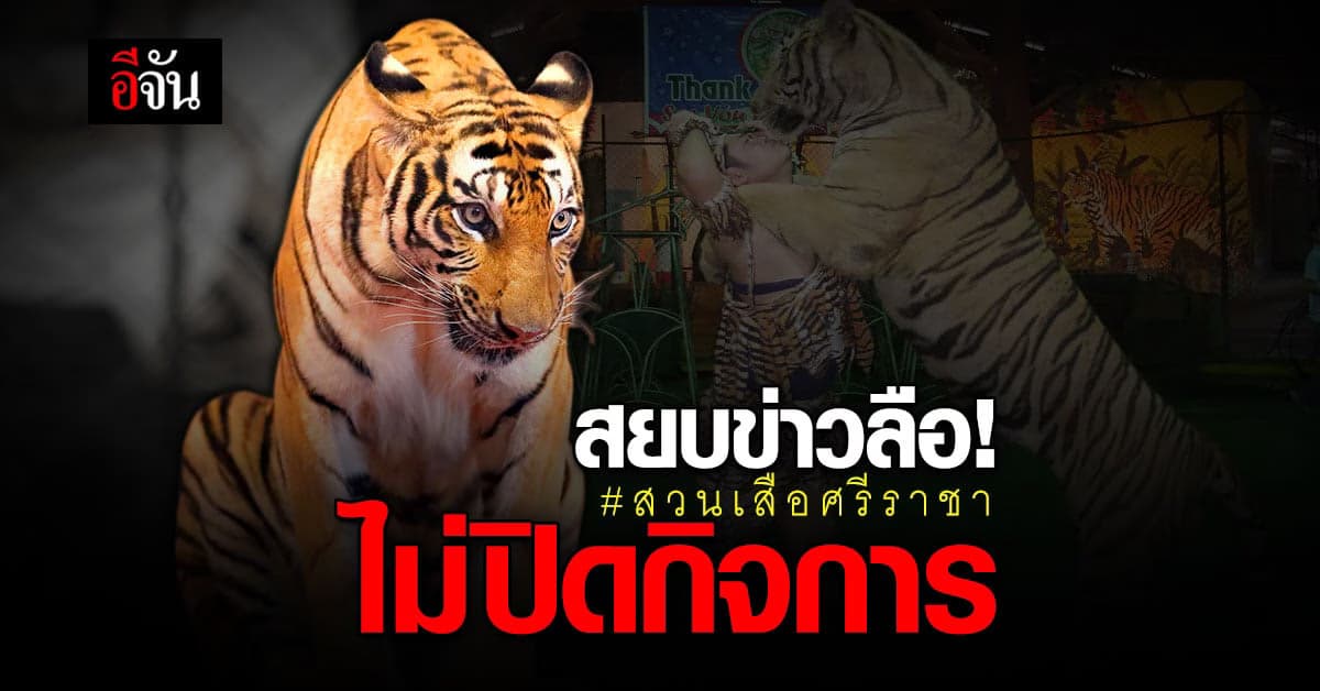 เจ้าของที่ สวนเสือศรีราชา สยบข่าวลือ ลั่น ไม่ปิดกิจการถาวร