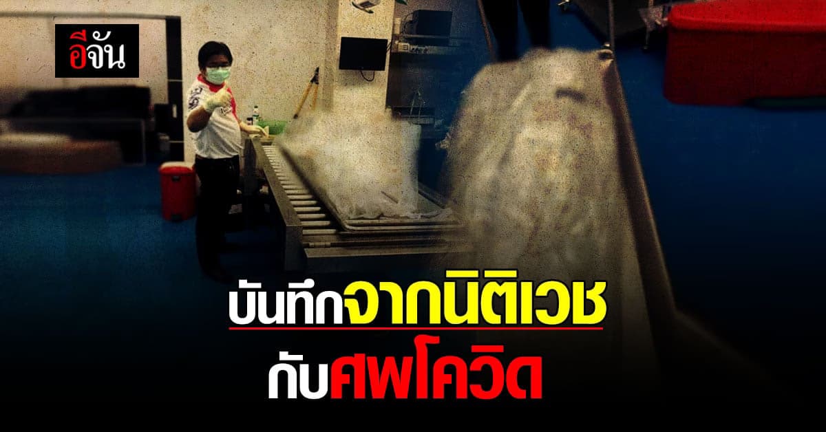 นิทานมะม่วงหิมพานต์ กับบันทึกจากห้องเก็บศพ ในช่วงโควิด