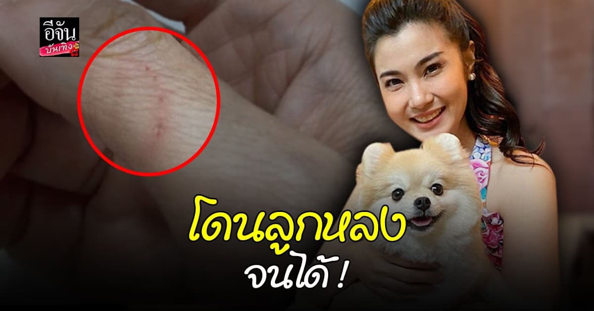 จ๊ะจ๋า พริมรตา โดนลูกหลง หลังสุนัขที่เลี้ยงทะเลาะกัน จนได้แผล