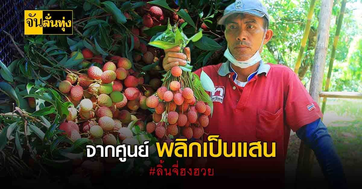 เกษตรกรพะเยาดี๊ด๊า ราคา ลิ้นจี่ฮงฮวย ของดีท้องถิ่นขายดีมากจนเก็บขายไม่ทัน