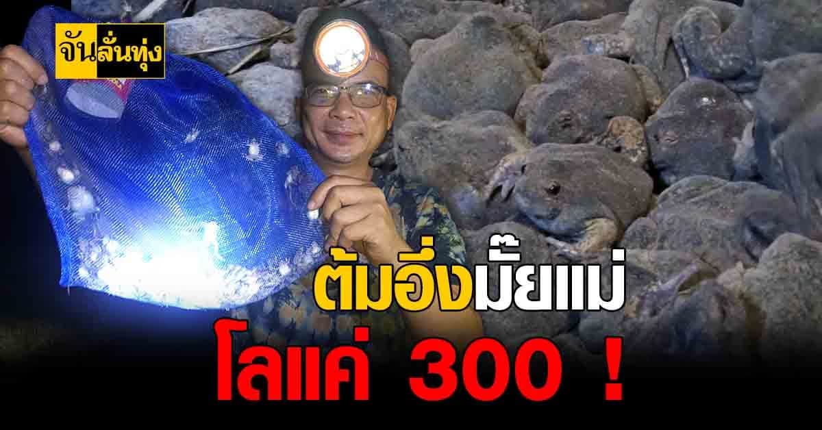 ชาวบ้านนครพนมคึกคัก จับ อึ่งอ่าง ของป่ามาขายให้รอดตายช่วงโควิด