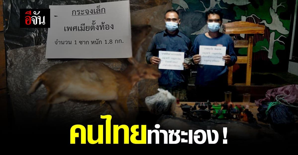 คนไทยทำซะเอง ! จนท.จับกุม 2 ชายไทย ลอบล่าสัตว์ป่า ขสป.พนมดงรัก