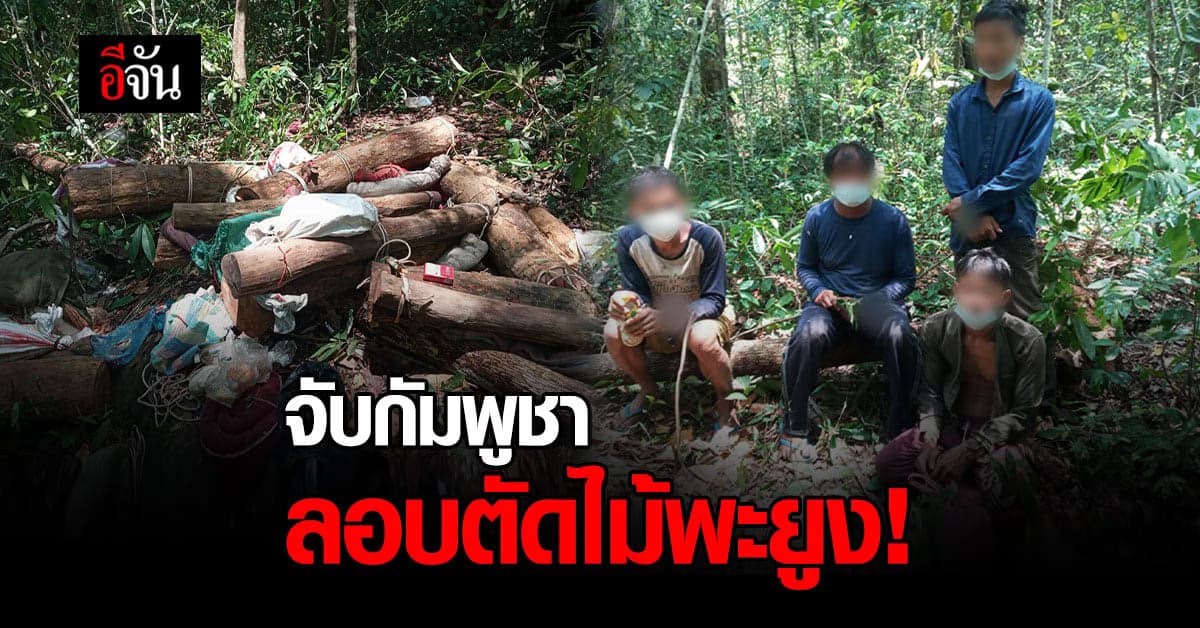 แจ้ง 6 ข้อหา ชาวกัมพูชา ลักลอบตัดไม้พะยูง ในเขต ขสป.