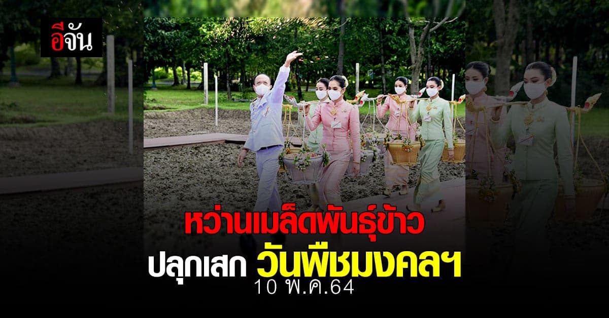 พระราชพิธีพืชมงคลฯ วิถีใหม่ สมเด็จพระสังฆราช ทรงเป็นองค์ประธาน ประกอบพิธีปลุกเสกเมล็ดข้าวพระราชทาน