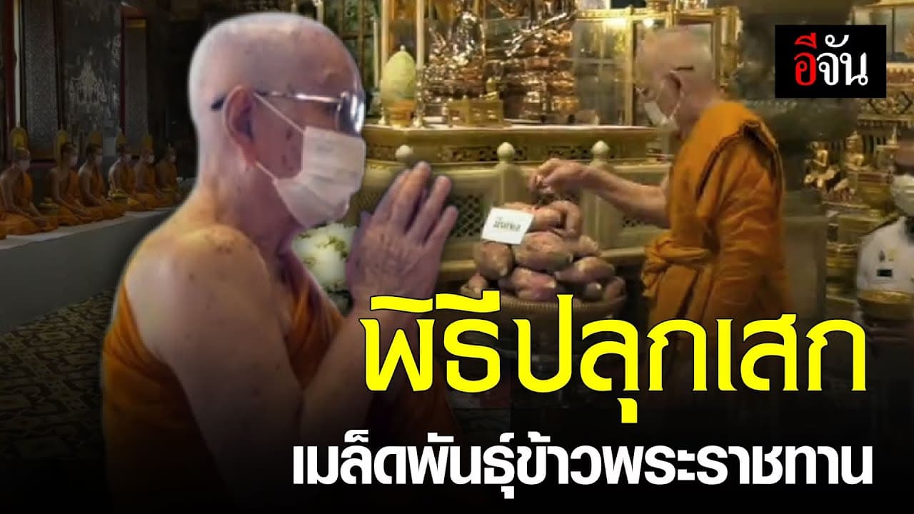(Video) พิธีปลุกเสกเมล็ดพันธุ์ข้าวพระราชทาน