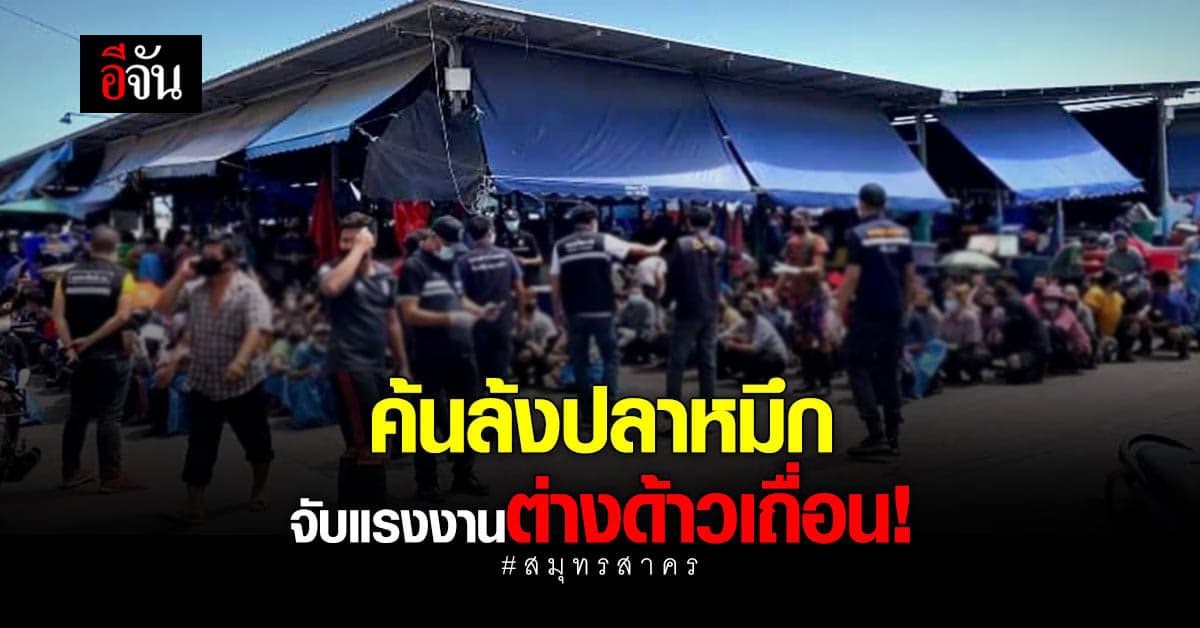 จนท. ค้น ล้งปลาหมึก สมุทรสาคร จับแรงงานต่างด้าว 14 คน