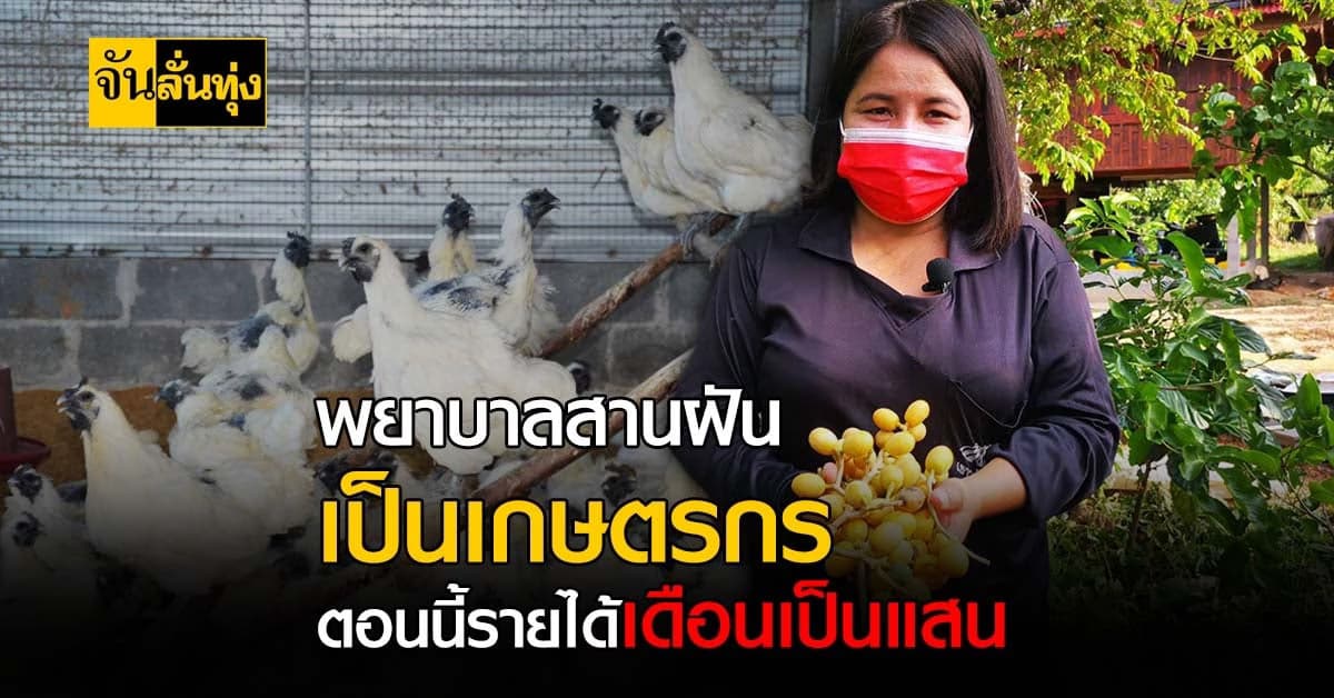 พยาบาลสานฝันสร้างอาชีพ ทำ เกษตรผสมผสาน สร้างรายได้ดีปีนึงเป็นล้าน