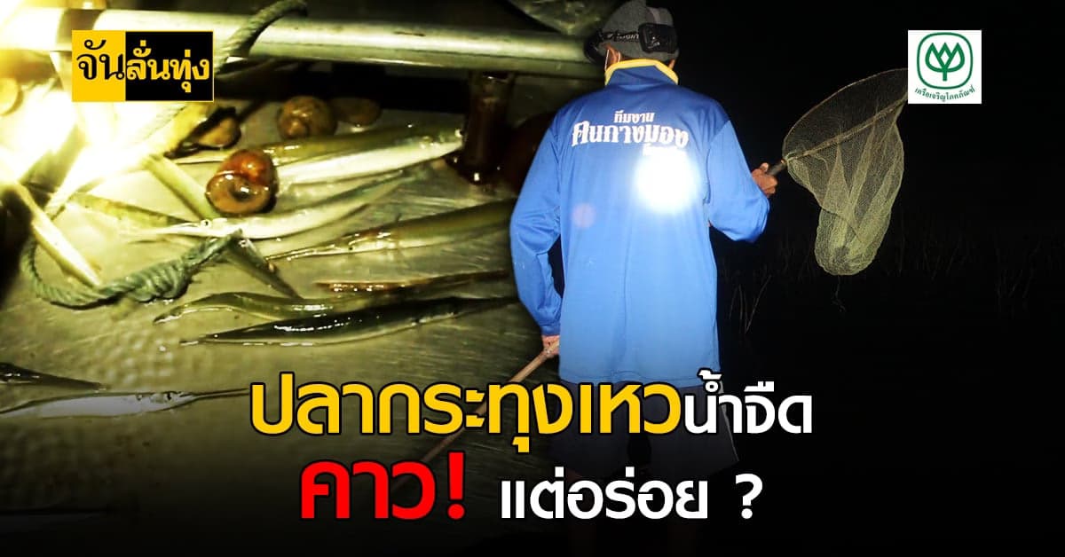 พารู้จัก ปลากระทุงเหวน้ำจืด ของดีที่มีเงินก็หาซื้อไม่ได้ !