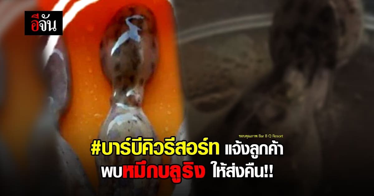 บาร์บีคิวรีสอร์ท เตือนลูกค้า ตรวจสอบ หมึกสาย หากพบเป็น หมึกบลูริง ให้นำส่งคืน