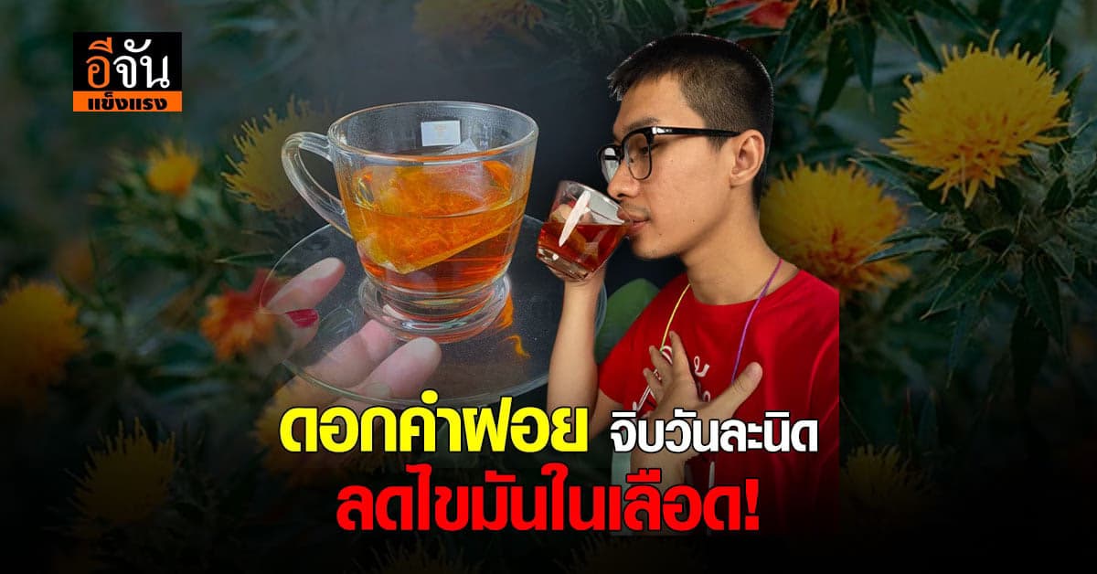 ดอกคำฝอย  กินดี ช่วยลดไขมันในเลือด