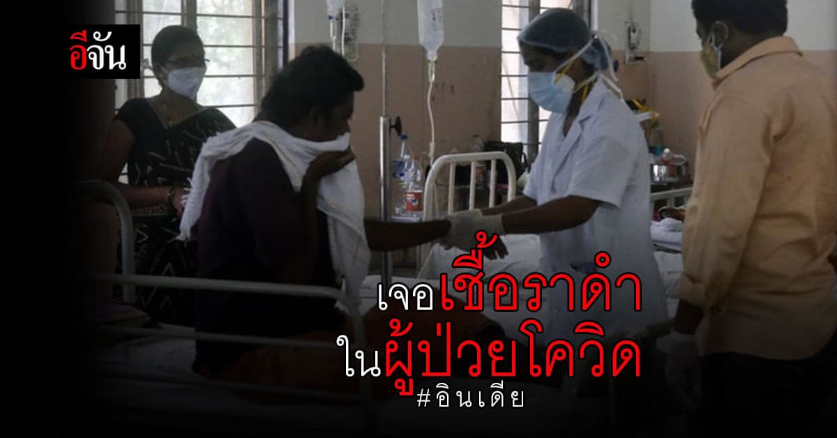 วิกฤตครั้งใหม่ อินเดีย พบ เชื้อราดำ ในผู้ป่วยโควิด อันตราย ถึงชีวิต
