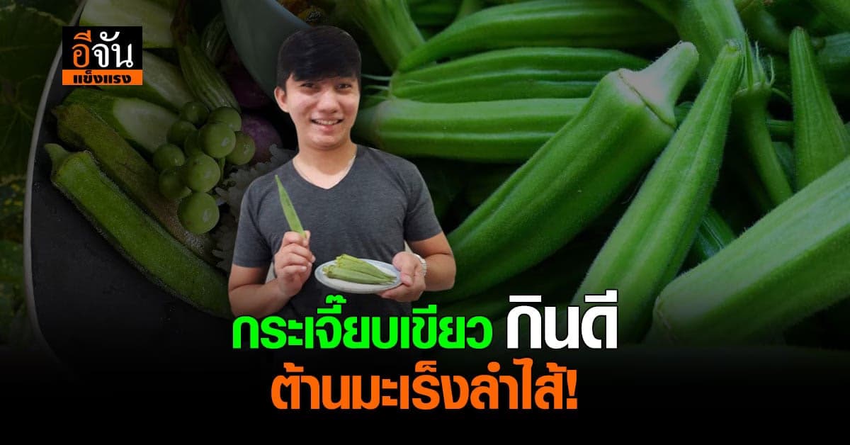 กระเจี๊ยบเขียวเคยกินกันมั้ย สรรพคุณดี ต้านมะเร็งลำไส้ ช่วยระบบขับถ่าย