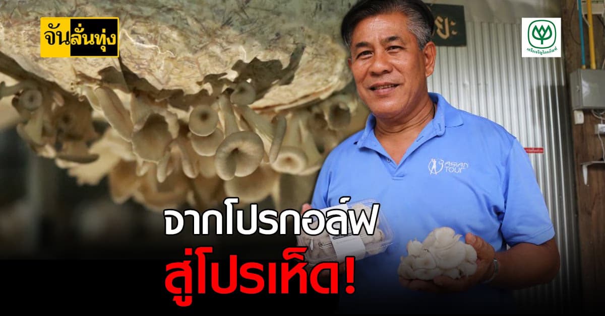 อดีตโปรกอล์ฟเห็นทางสว่างใหม่ทำ ฟาร์มเห็ด สุดทันสมัย ลงทุนไม่เท่าไหร่ได้กำไรคืนแล้ว